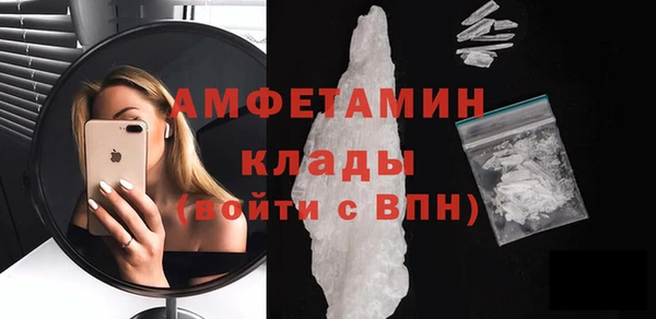 дмт Пересвет