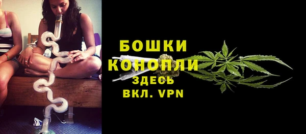 дмт Пересвет