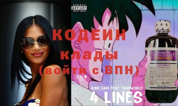 дмт Пересвет