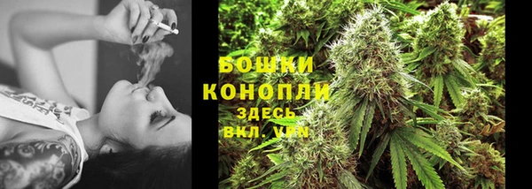 дмт Пересвет