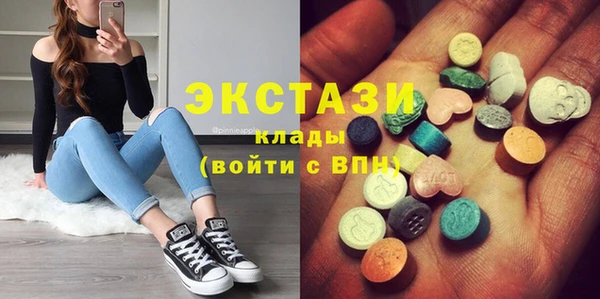 дмт Пересвет