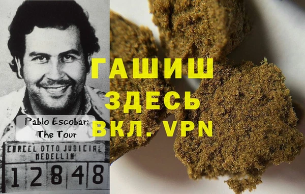 дмт Пересвет