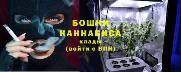 дмт Пересвет