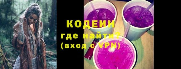 дмт Пересвет