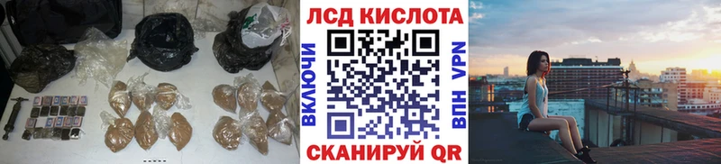 kraken как войти  купить наркотик  Тарко-Сале  Лсд 25 экстази кислота 